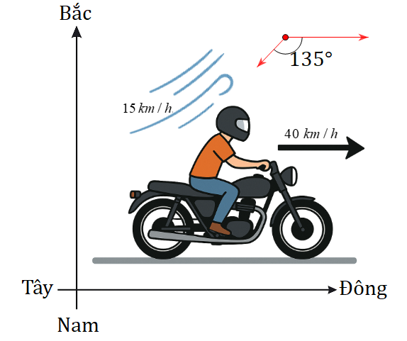 Hình minh họa câu hỏi